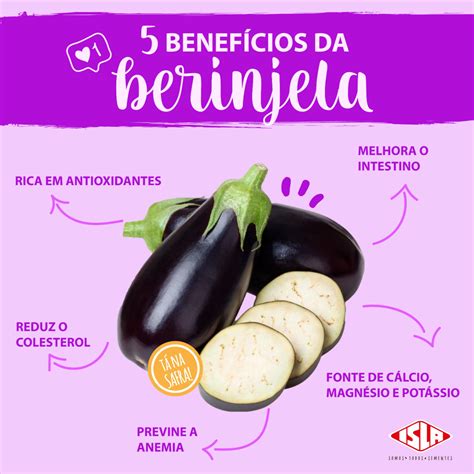 berinjela benefícios-4